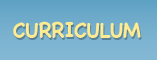 curriculum
